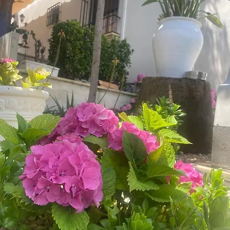 Casa Encinares Cordoba
